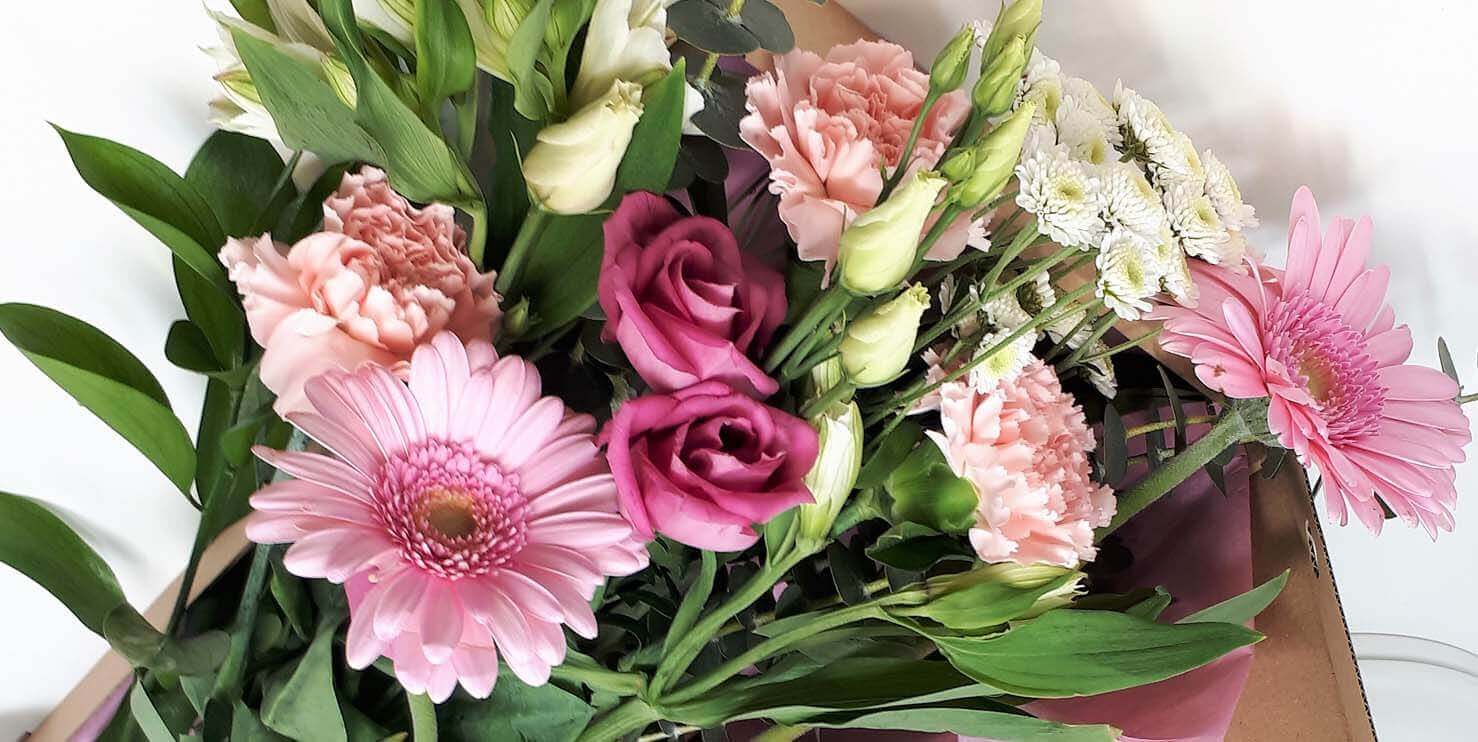 letterbox flowers