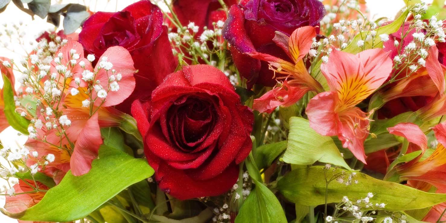 summer flowers