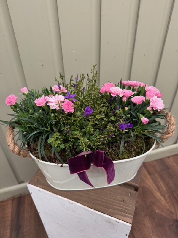 MD planter 1 MD planter 1